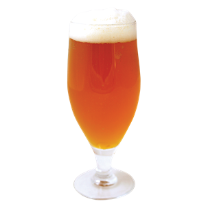 goblet beer PNG image-2386